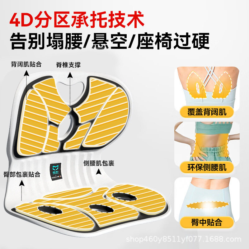 人体学护腰坐垫靠背部支