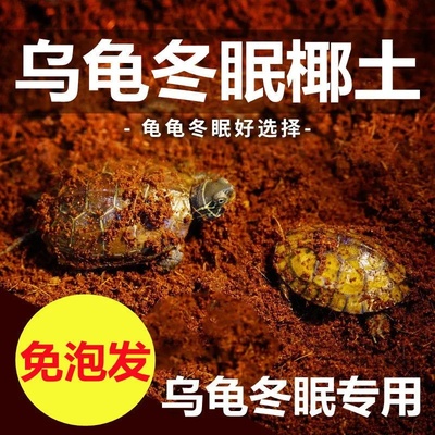 乌龟冬眠土爬宠椰土免泡保暖