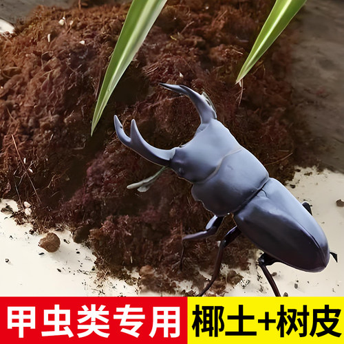 甲虫成虫垫材椰砖椰壳木屑独角仙兜虫锹甲花金龟保湿除臭昆虫饲养