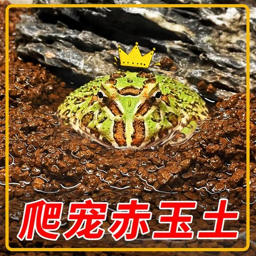 爬宠专用赤玉土角蛙守宫