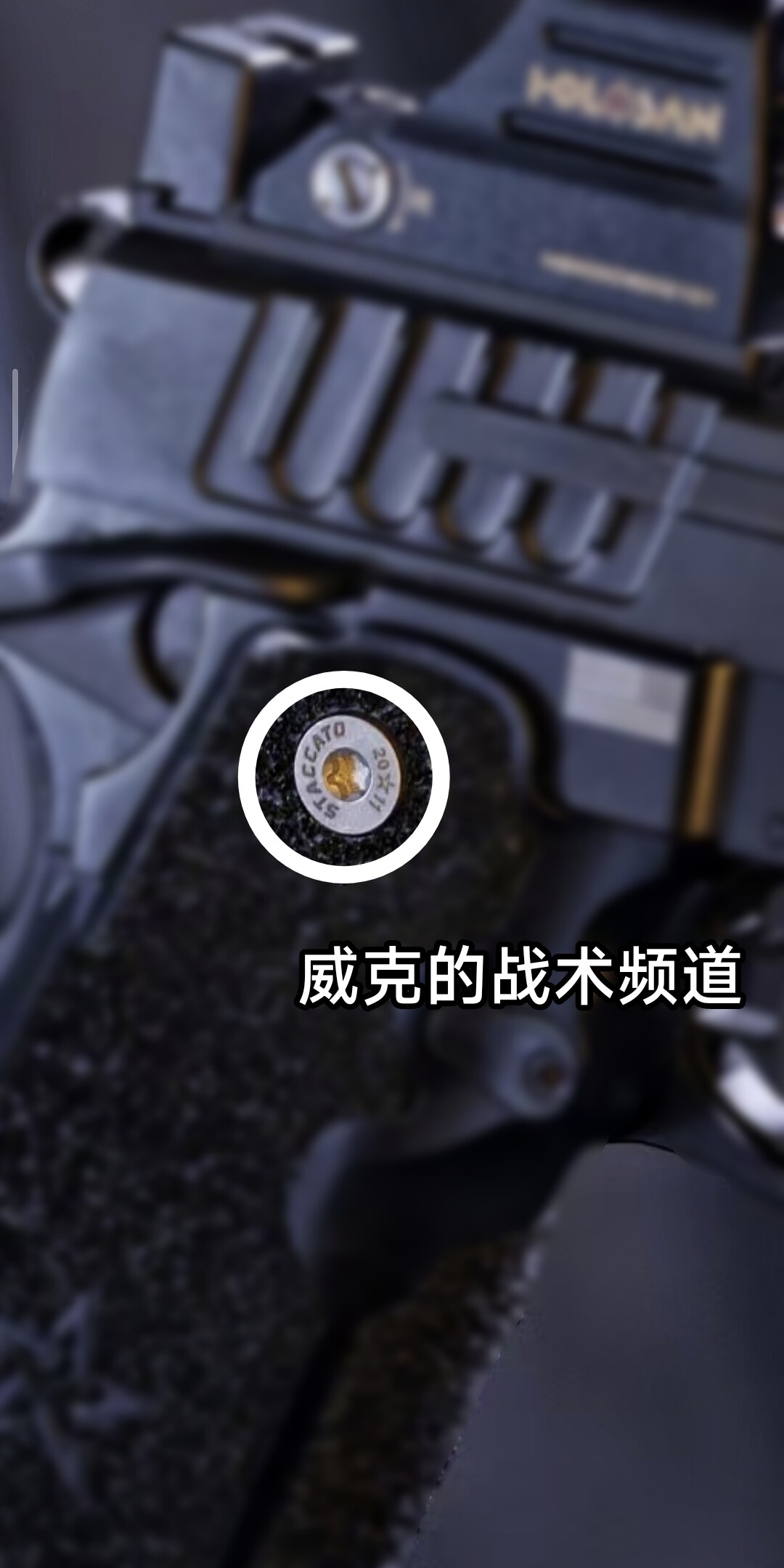 STACCATO 2011钛合金握把螺丝