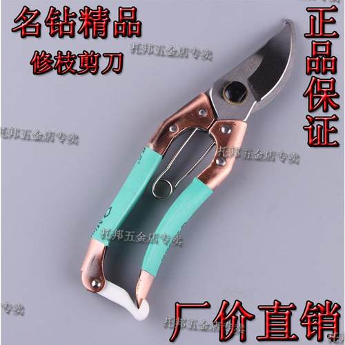 修枝整枝剪葡萄梨桔子果树粗大枝条园艺芒果剪刀老品牌优质钢名钻