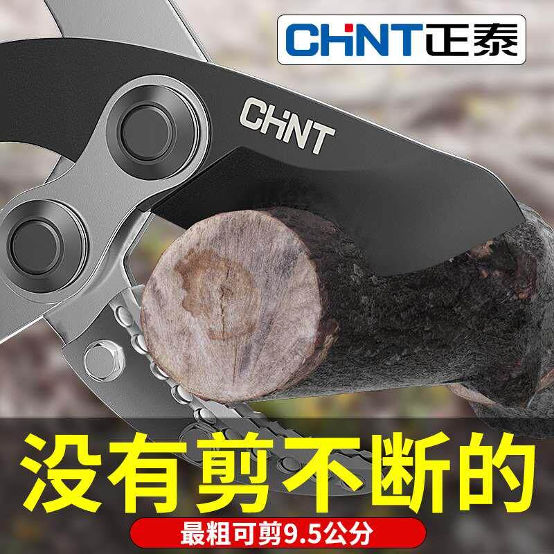 剪枝剪刀果树修枝专用树枝剪园林修剪神器强力修大力粗枝大枝省力图片