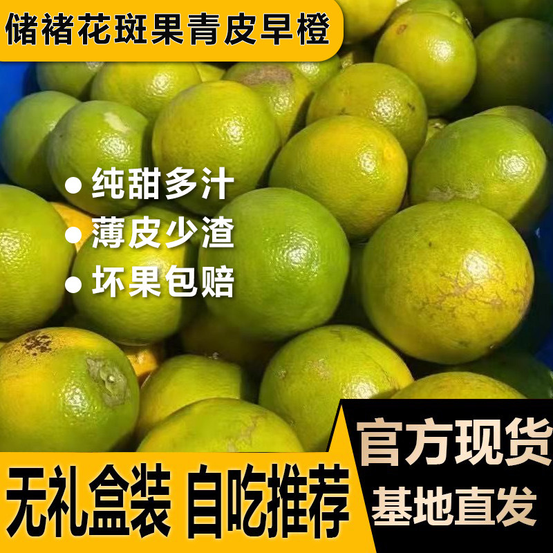正品2026云南储褚冰糖橙子花斑果官方旗舰店新鲜水果家庭装包邮
