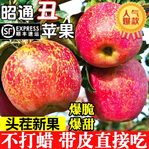 云南昭通丑苹果冰糖心顺丰快递