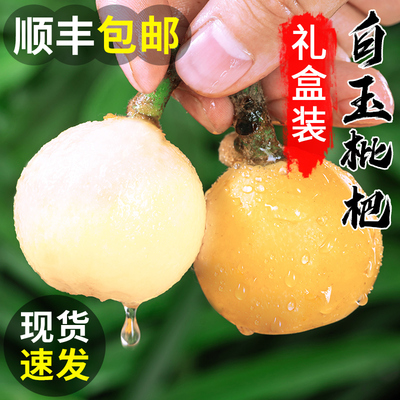 正宗苏州东山白玉枇杷5斤