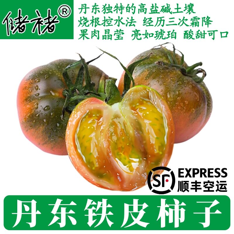 正宗丹东铁皮柿子草莓番茄自然熟绿腚西红柿新鲜孕妇水果顺丰包邮