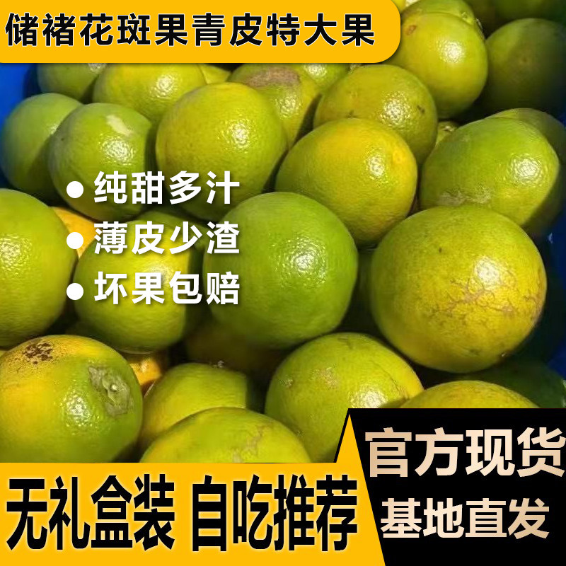 储褚橙官方旗舰花斑果纯甜特大果