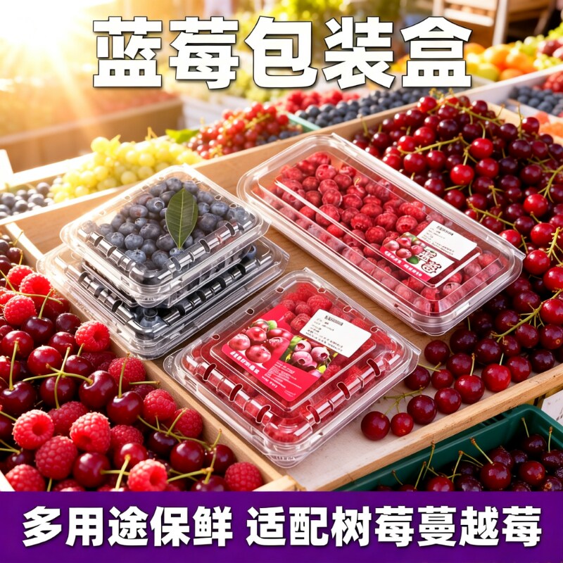 水果蓝莓盒子125g蓝莓小包装盒加厚食品塑料材质生鲜蓝莓打包盒装