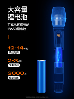 山水万能无线话筒家用K歌一拖二U段接收器户外KTV唱歌麦克风通用