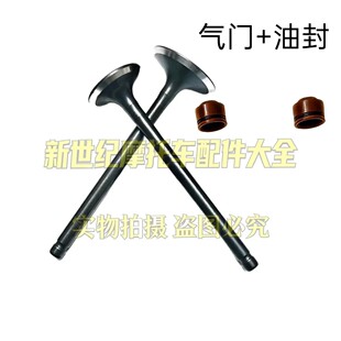 33M 适用大阳摩托车配件DY125 39M气门油封小链条 33D 150