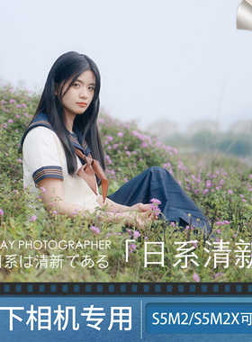 松下s5m2烧录lut日系清新色彩预设s5m2x松下vlog色彩可用预设