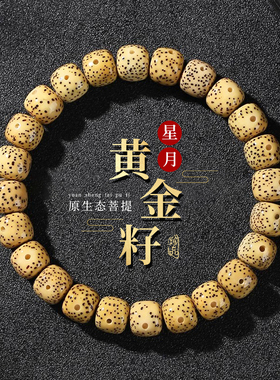 海南黄金籽星月菩提子手串单圈女手链高密顺白正月文玩佛珠绕指柔