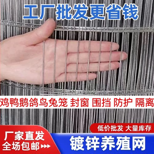镀锌铁丝网长孔养殖网鸟笼网围网