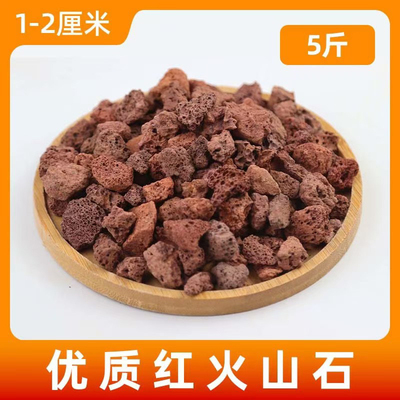 花农杰哥原生种蝴蝶兰 红色火山石专用垫底铺面