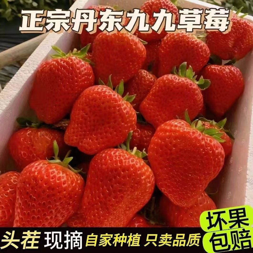 17c吃瓜官网黑料爆料蘑菇