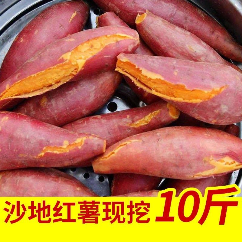 【新鲜现挖】红薯沙地黄心番薯10斤板栗香薯红心蜜薯山芋地瓜5