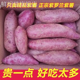 广西富硒中紫薯新鲜现挖地瓜紫芋头番薯紫薯红薯农家自种带箱10斤