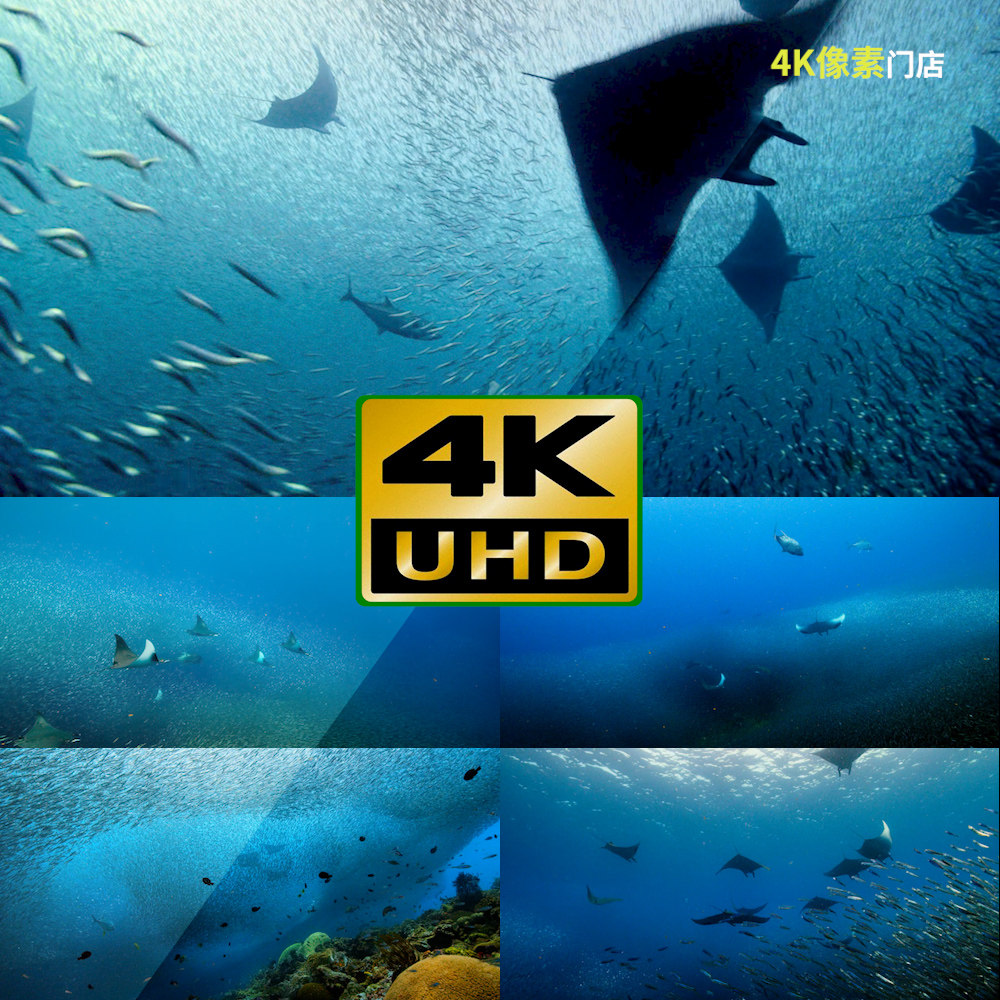 395-4k视频素材-鱼群浮冰行为冰面破碎冰川雪景冬天极地气候气候