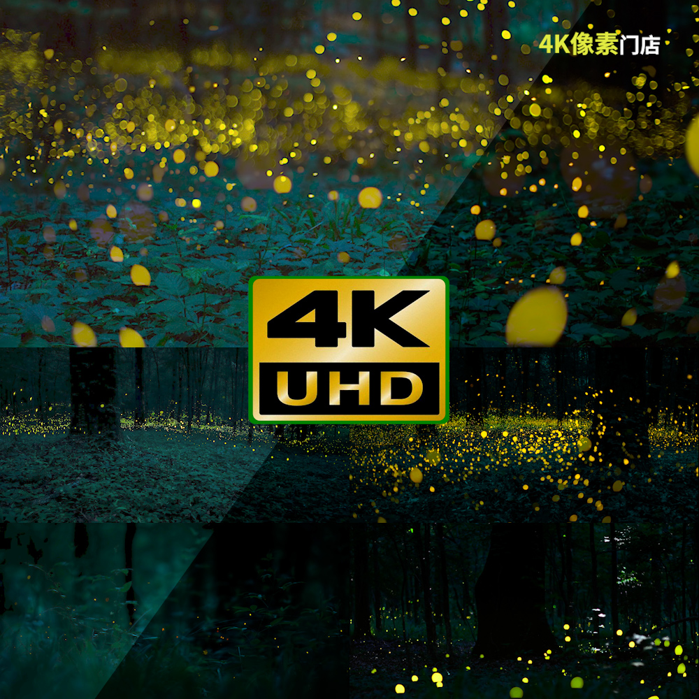 929-4k视频素材-萤火虫野外唯美质感森林发光闪亮昆虫飞行