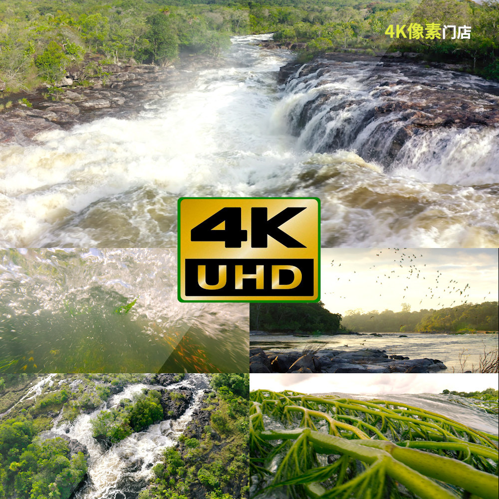 823-4K视频素材-水草微观水生植物生态自然环境保护生机活力,商务/设计服务,设计素材/源文件,淘宝优惠券,粉丝福利购,淘宝优惠卷