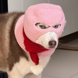 搞笑狗狗贼人头套创意针织毛线帽强盗变装秀外出防风猫狗通用面罩