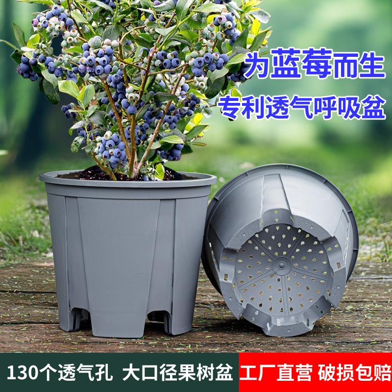 多孔透气高支撑脚大口径蓝莓花盆
