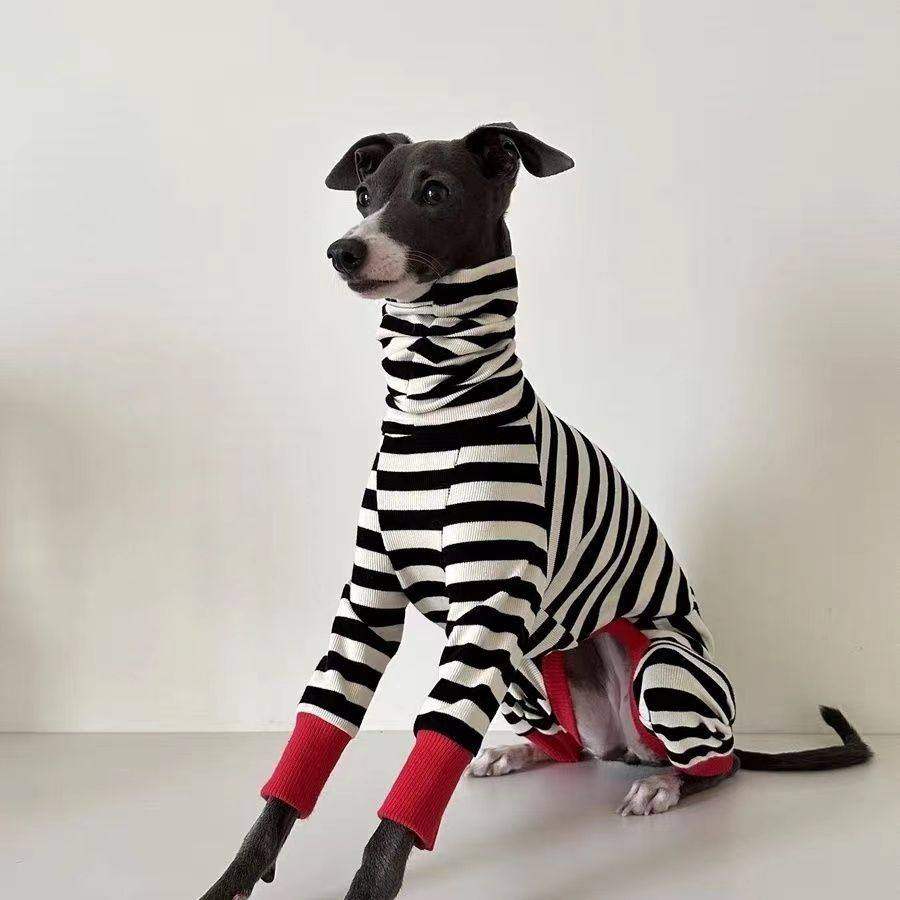 大狗衣服秋冬狗狗金毛宠物拉布拉多秋冬比特大型犬贝灵顿四脚打底,宠物/宠物食品及用品,猫宠物服装/雨衣（新）,淘宝优惠券,粉丝福利购,淘宝优惠卷