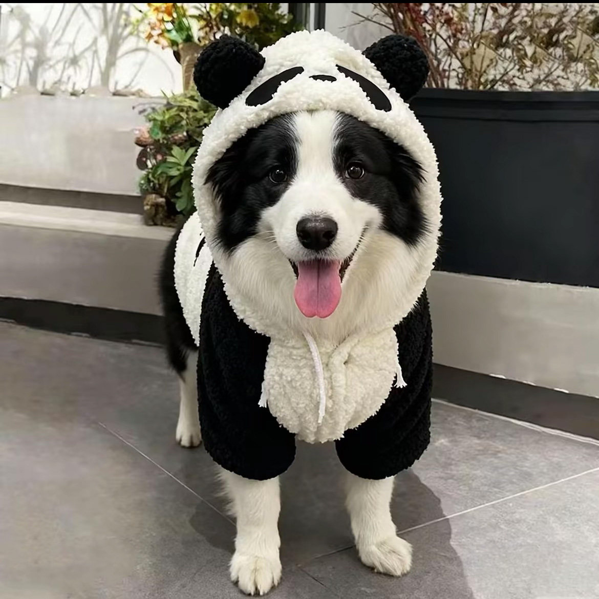 狗狗衣服冬季加厚金毛中大型犬拉布拉多萨摩耶秋冬款大狗狗秋冬装