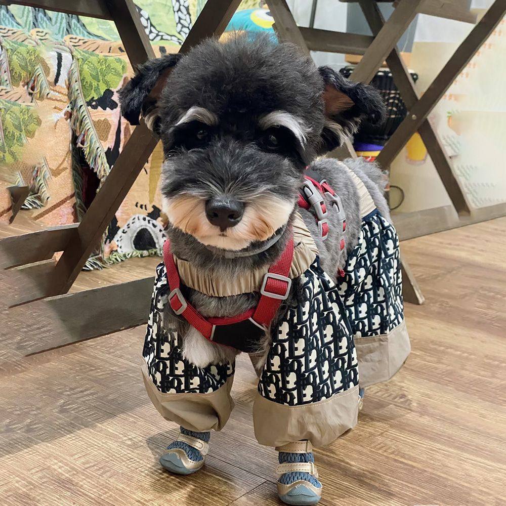 狗狗防尘裤遛弯裤春秋防脏防虫薄款四脚裤腿套护腿小型犬春秋外出,宠物/宠物食品及用品,猫宠物服装/雨衣（新）,淘宝优惠券,粉丝福利购,淘宝优惠卷