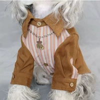 Горячие звезды какао, маленькая рубашка