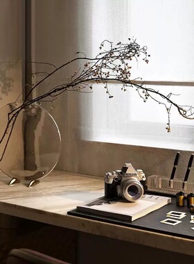 简约现代样板间书房摆件摄影拍照道具花艺桌面装饰品家居陈设组合