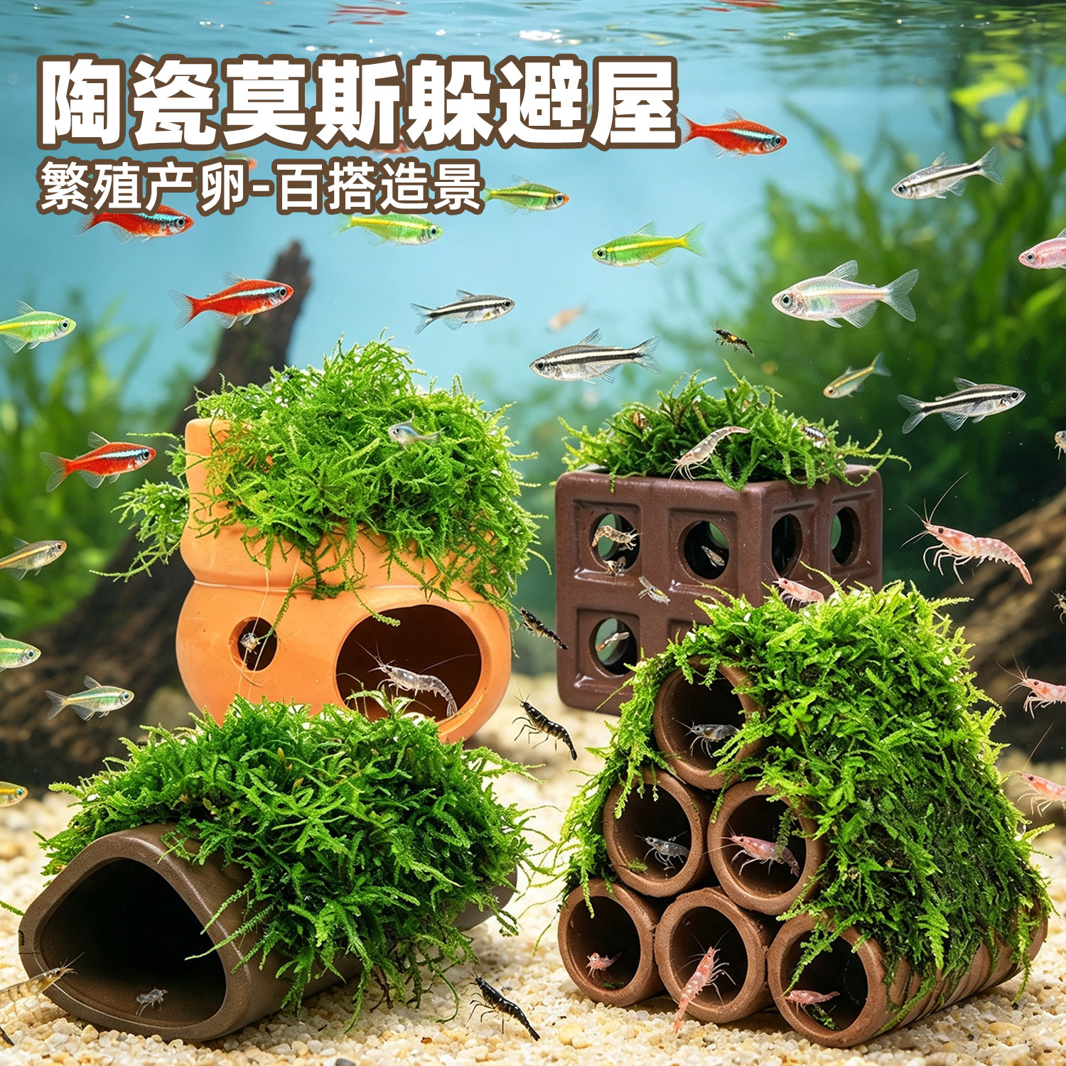 鱼缸莫斯陶瓷躲避屋虾窝造景繁殖