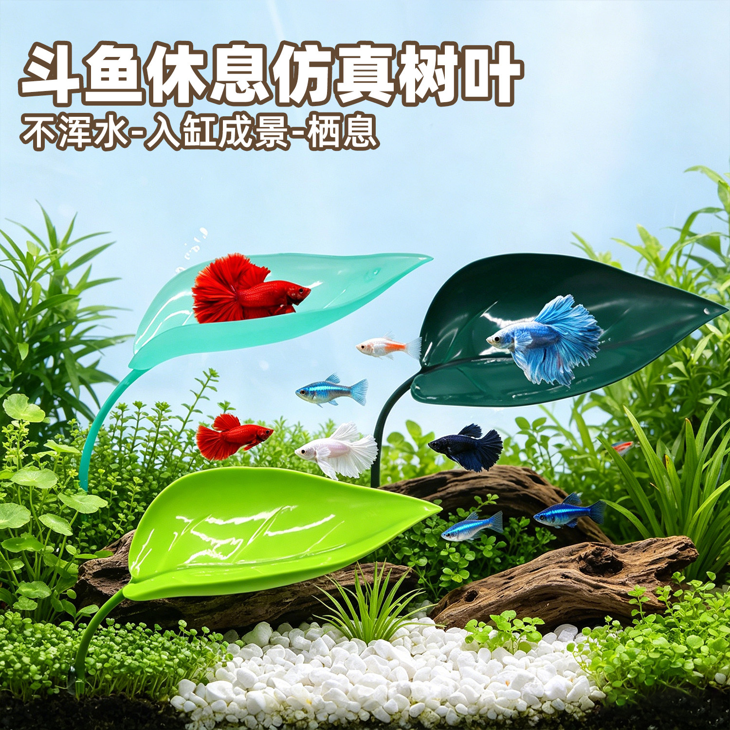 仿真水草缸造景斗鱼休息栖息叶图片