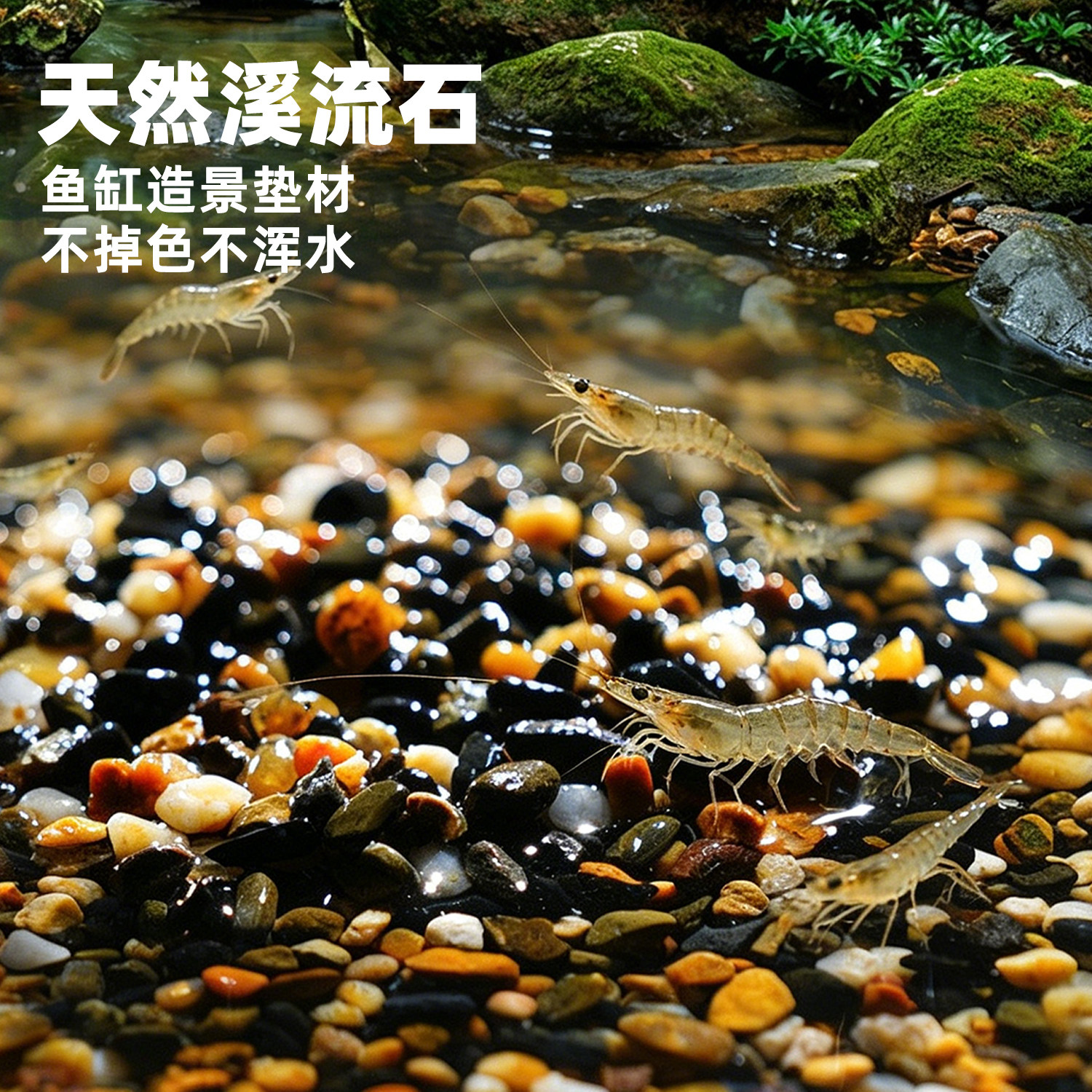 鱼缸造景沙天然溪流石五色石装饰过滤鹅卵石不掉色水族箱海缸底沙