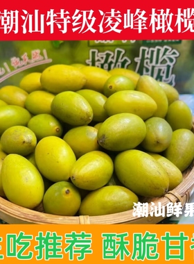 潮汕特产特级灵峰橄榄新鲜现摘酥脆原味甘香生吃凌峰橄榄青橄榄果