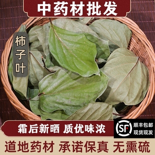 柿子叶中药材500g克正品新鲜柿子叶茶压血农家天然霜后霜打降柿叶