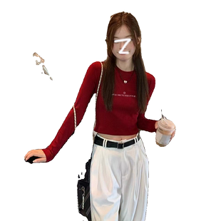 酒红色打底衫上衣女秋冬2025新款修身短款内搭小立领长袖t恤上衣