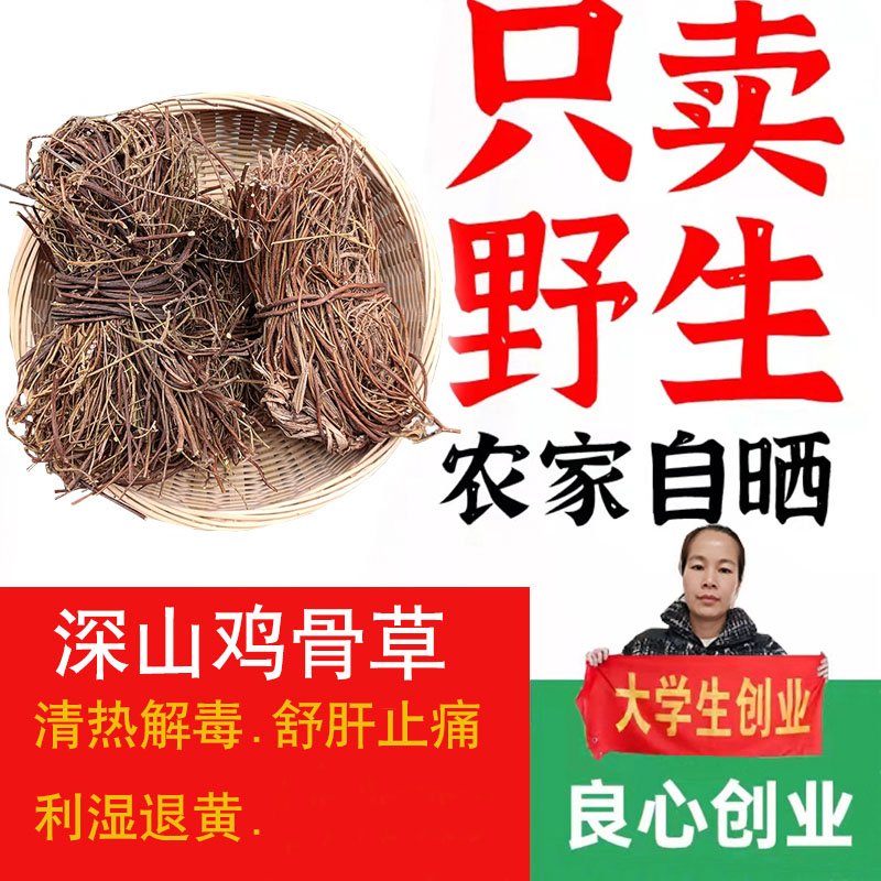 广东鸡骨草野生益肝500克新大黄草无硫全草煲汤中药材广西煲汤料