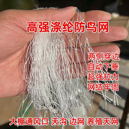 涤纶防鸟网果园专用果树防鸟用网尼龙线防麻雀稻谷农物防护网