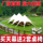 Кемпинговая палатка с навесом на открытом воздухе super large camp с защитой от солнца Wanzhongshan и непромокаемым тентом с одним, двумя и тремя козырьками mini 1