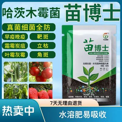 苗博士微生物菌剂哈茨木霉菌黄叶