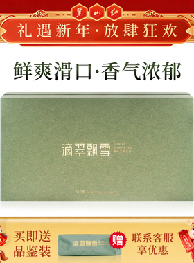 滴翠飘雪问剑四川茉莉花茶浓香型特级2025新茶飘雪礼盒茶叶110.2g