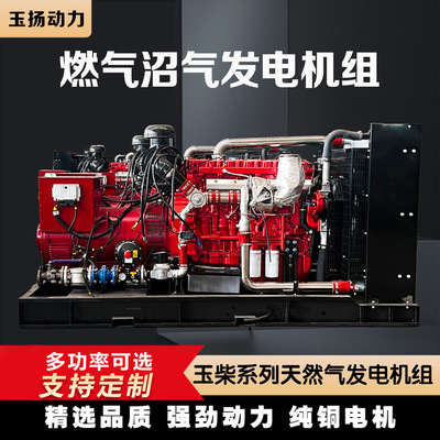 玉柴系列30-1000kw千瓦天然气发电机组 可选高低压并机并网柜