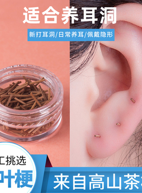 过敏包退茶叶梗耳钉养耳洞
