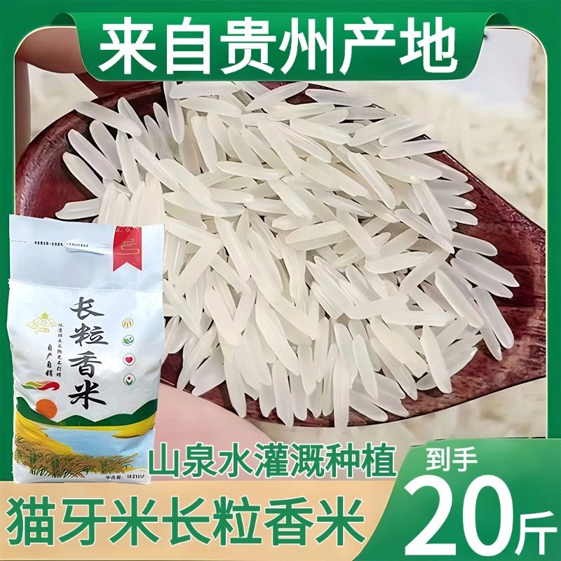 大米2025新米贵州梯田猫牙米长粒香米10斤装官方旗舰店一级丝苗米,粮油调味/速食/干货/烘焙,大米,淘宝优惠券,粉丝福利购,淘宝优惠卷