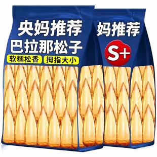 云南特产巴拉那松子拇指大野生新鲜松果坚果零食盒装孕妇儿童可食