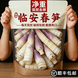 临安春笋新鲜现挖雷笋嫩芽竹笋子正宗浙江天目山冬笋野生农家鲜笋