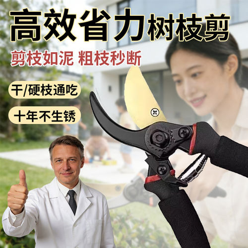 德国园艺修枝剪专业级艺园剪刀剪枝条专用高效省力果园林园花园剪