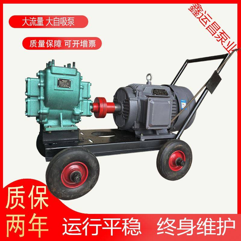 热销移动式圆弧齿轮泵 防爆耐磨汽柴油输送泵 80yhcb60抽粪泵